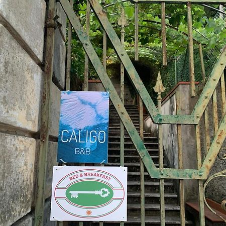 Caligo Bed and Breakfast La Spezia Eksteriør billede