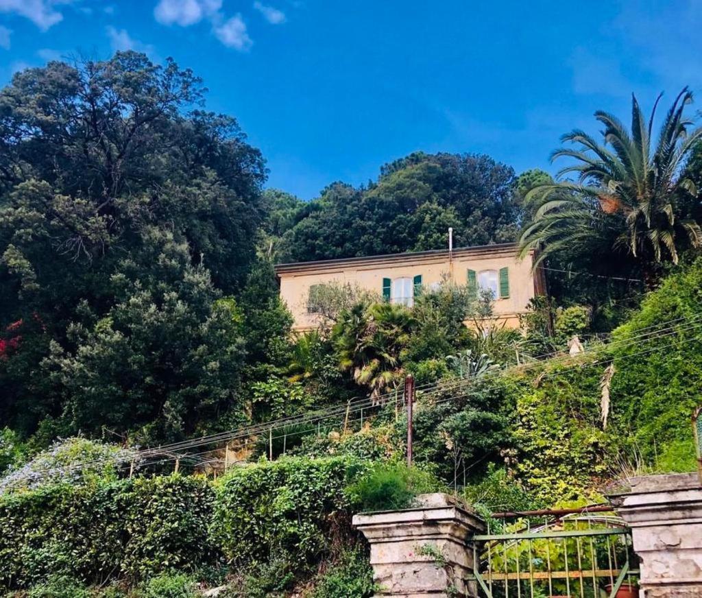 Caligo Bed and Breakfast La Spezia Eksteriør billede