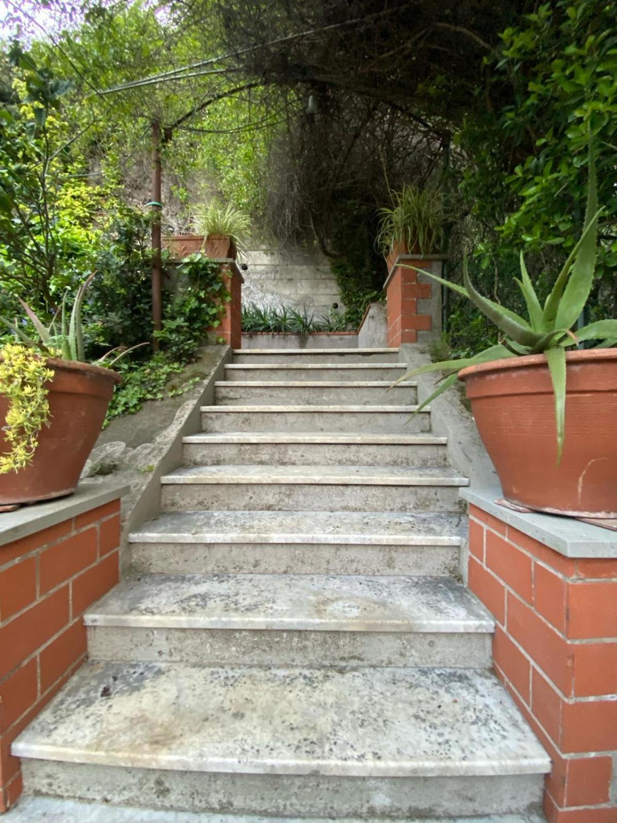 Caligo Bed and Breakfast La Spezia Eksteriør billede